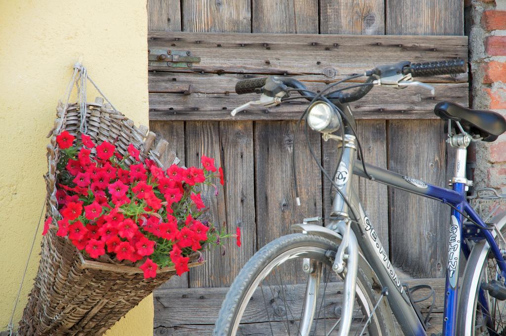 Bed and Breakfast Cascina Delle Mele Виттуоне Экстерьер фото