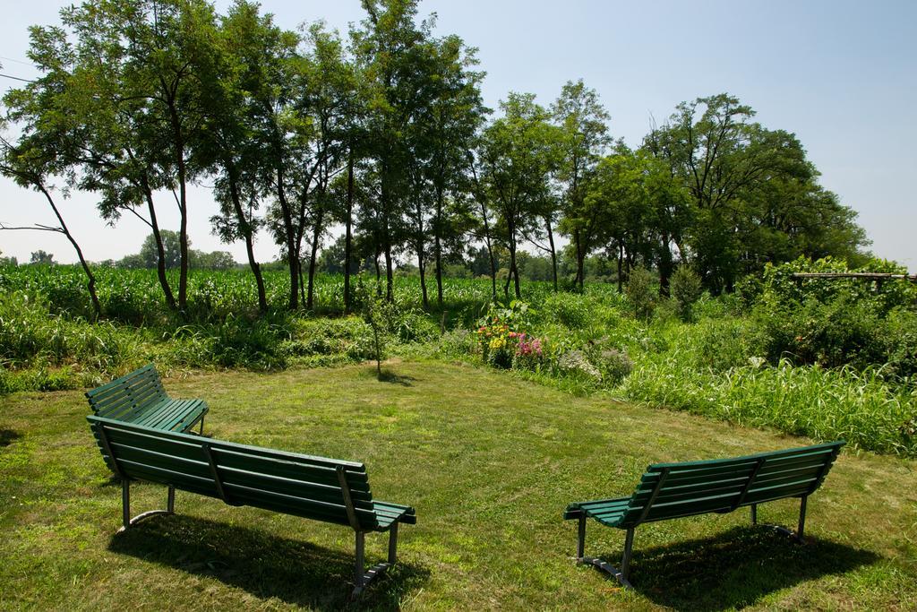 Bed and Breakfast Cascina Delle Mele Виттуоне Экстерьер фото