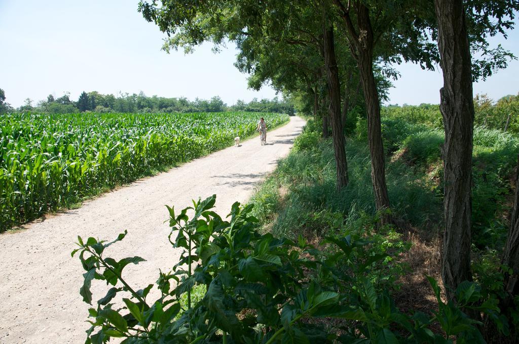Bed and Breakfast Cascina Delle Mele Виттуоне Экстерьер фото
